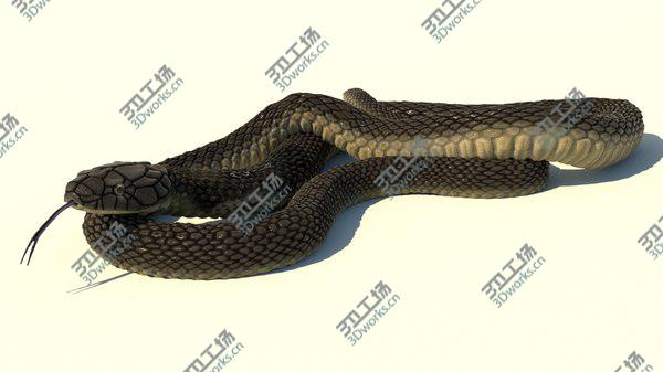 images/goods_img/20210312/Indian Cobra Rigged Animated 3D/2.jpg